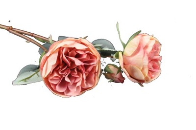 Róża angielska różowo kremowa sztuczny kwiat