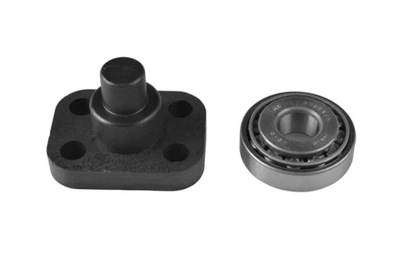 TED52917 BEARER BEARING AXLE SUZUKI P. JIM  