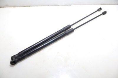 Амортизатори кришки skoda fabia iii фото №1