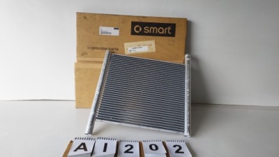 Smart w450 радиатор воды фото №1