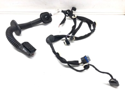 Джгут двері перед правий renault clio v 19-22 фото №1