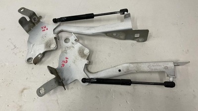 Петлі капот лівий правий renault scenic iii dv369 фото №1