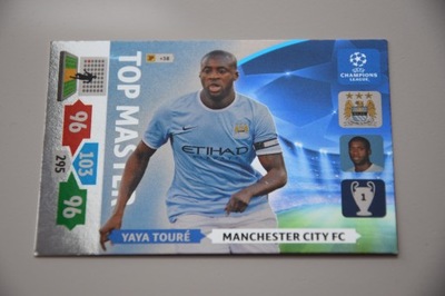 Panini Champions League 2013-14 Yaya Toure TM