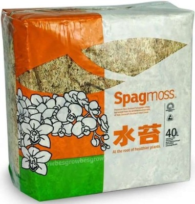 SPAGMOSS Nowozelandzki Mech Torfowiec 500g na 40L podłoża