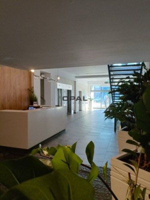 Biuro, Katowice, Śródmieście, 50 m²