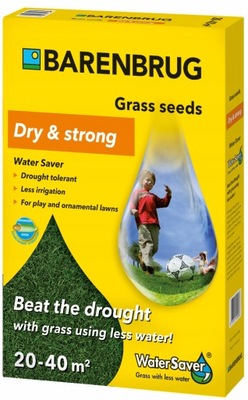 TRAWA ODPORNA NA SUSZĘ TERENY SUCHE BARENBRUG WATER SAVER DRY & STRONG