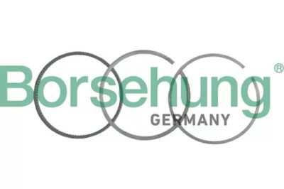 Кільця поршня 82.51 oct ii,sup ii,ii b19046 фото №1