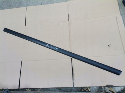 Молдинг двері перед ліва nissan almera n15 3d фото №1