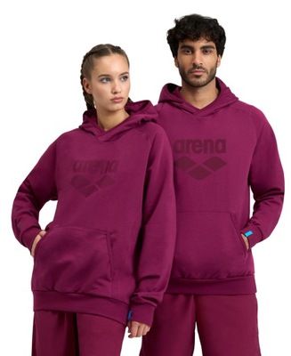 Bluza Arena Hooded Sweat Logo RED FANDANGO XXL