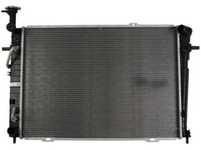 Радіатор двигуна hyundai tucson 04- 2.0 i 16v фото №1