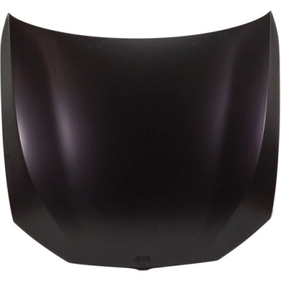 Оригінальний номер bmw капот bmw serii 5 g31 2017- 41007440427 фото №1