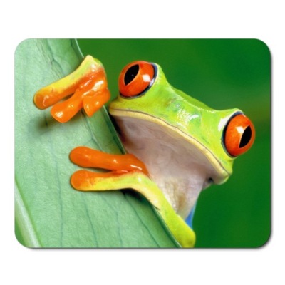 Podkładka pod mysz myszkę DZIKIE ZWIERZĘTA ŻABA