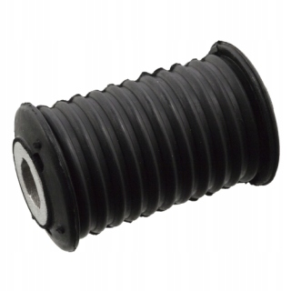 BUSHING SPRING RENAULT  