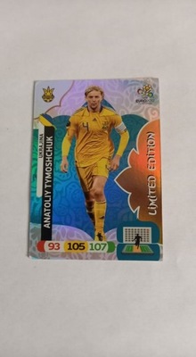 LIMITED Limitka Tymoshchuk Panini EURO 2012