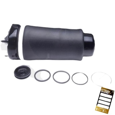 Пневмоподушка подушка підвіска перед do mercedes-benz r-class w251 фото №1