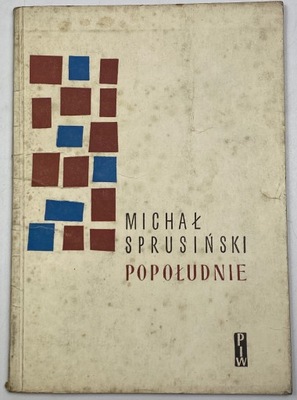 Popołudnie Michał Sprusiński