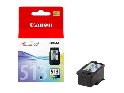 Tusz CANON CL-513 Kolorowy 13 ml 2971B001