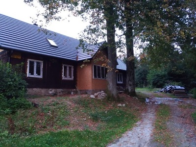 Dom, Złatna, Ujsoły (gm.), 100 m²