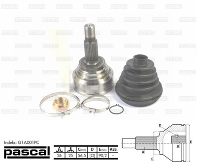 AXLE SWIVEL DRIVING PASCAL G1A001PC  