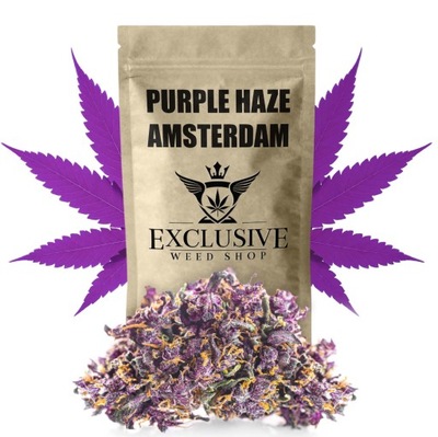 Susz CBD Purple Haze AMSTERDAM EXCLUSIVE 1g