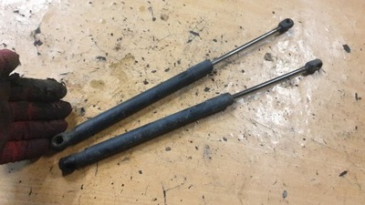 Skoda praktik roomster амортизаторы крышки задняя задние комплект фото №1