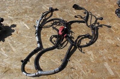 Ford edge ecoboost 2016 2.0 жгут двигателя ecoboos фото №1