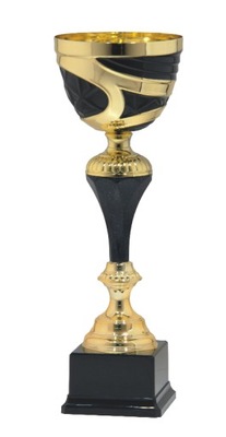 Puchar trofeum nagroda konkurs 32 cm + GRAWER