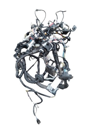 Электропроводка отсек двигателя ford escape mk4 usa фото №1