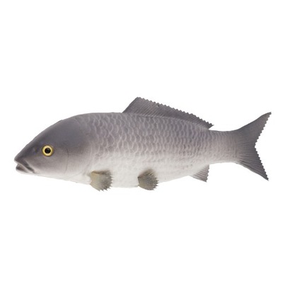 1 sztucznej ryby - Szary-duży
