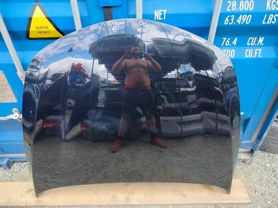 Alfa romeo stelvio капот фото №1