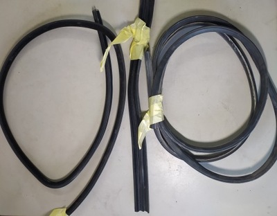 Man tgx e6 комплект прокладка двері праве фото №1