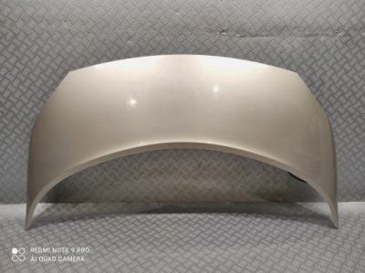 Капот крышка двигателя renault scenic 2 2 цвет ted 69 twoje авто wyszków фото №1