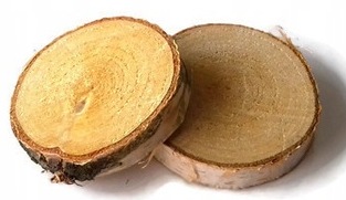 Plastry drewna drewniane 2 szt brzoza 4-6 cm g.1cm