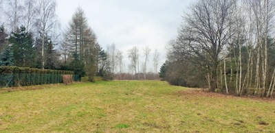 Działka, Zakrzów, 2900 m²