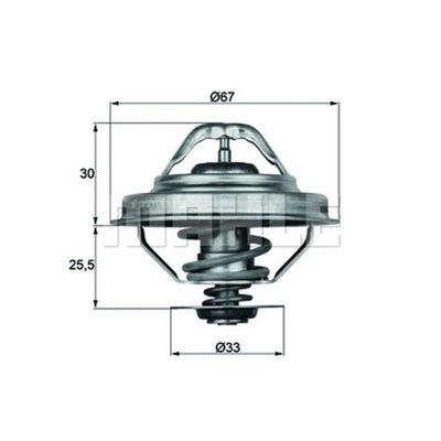 TERMOSTAT, VIDURYS AUŠINAMASIS MAHLE TX 28 88D 