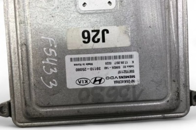 Бортовий комп'ютер двигуна ecu hyundai sonata iv ef 3911025080 2003 фото №1