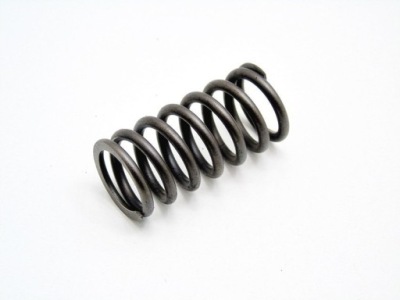 Пружина клапана головки 2.2 cdti vcdi antara captiva z22d1 фото №1