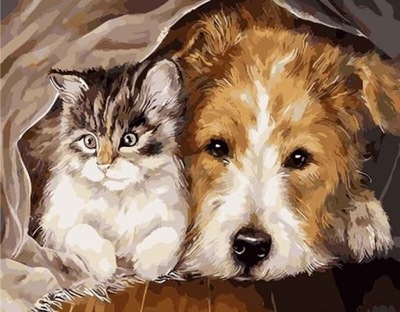 Malowanie po numerach - Duży obraz Piesek i kotek 40 x 50 cm