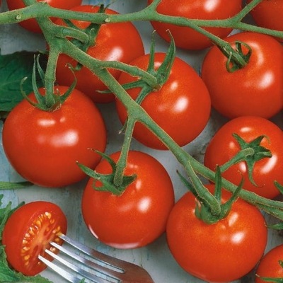 Kiepenkerl Seed Tomato Harzfeuer F1 