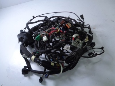 Електропроводка відсік двигуна панель приладів renault megane iv hb 1.6 tce 17 rok фото №1