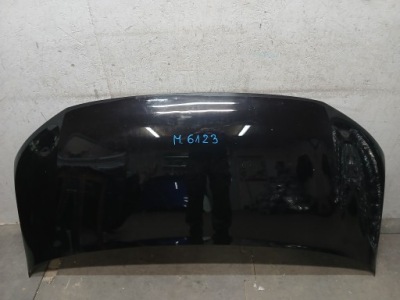 Капот vw t6 фото №1