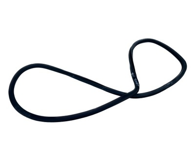 Прокладка двері правий задня dodge dart 12-16 фото №1