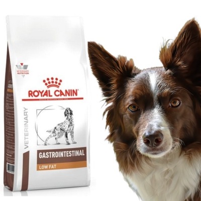 Royal Canin Vet Diet Canine Gastro Low Fat 12kg