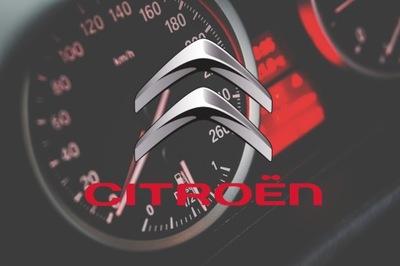 CITROEN CHIP TUNEADO BASE WSADY MAPAS STAGE  