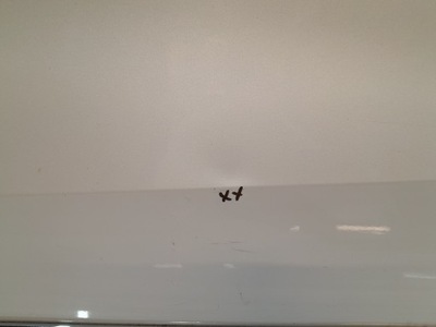 Pusta двері ліва задня задні фото №1