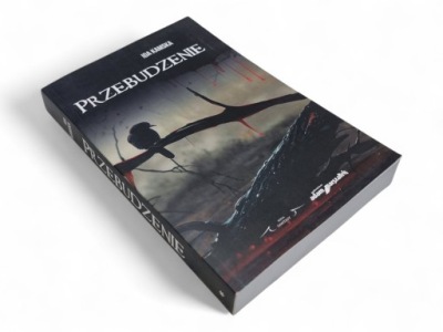 IDA KAMSKA PRZEBUDZENIE