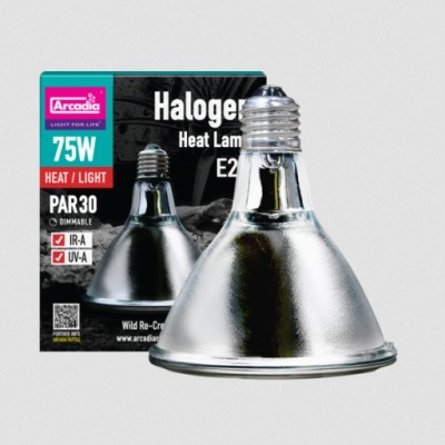 Arcadia Żarówka grzewcza Halogen Basking E27 75W