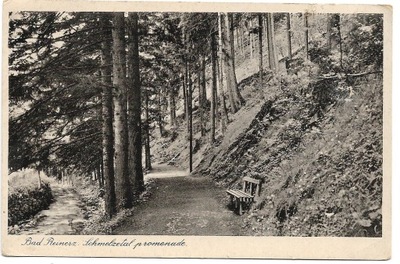 Duszniki Zdrój / Bad Reinerz - Schmelzetal promenade