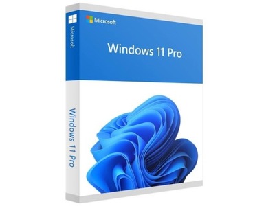 SW RET WIN 11 PRO FPP 64B/ENG USB HAV-00163 MS