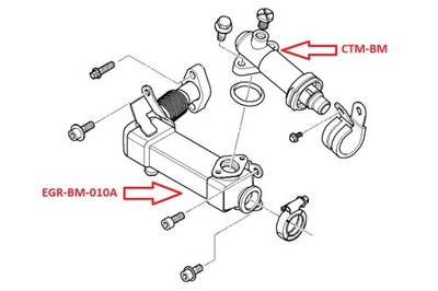 NTY CHLODNICA, RECYRKULACJA GASES DE ESCAPE EGR-BM-010A  